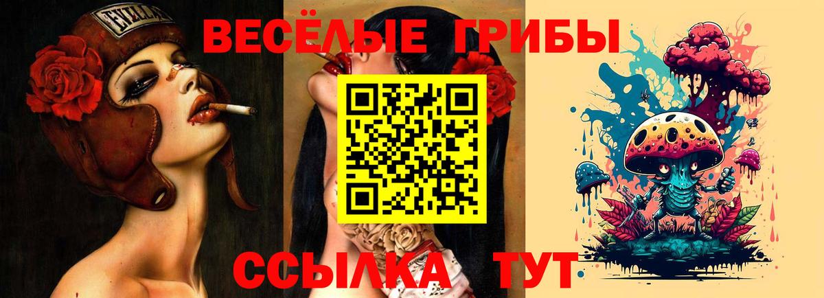 Псилоцибиновые грибы мухоморы  Вход с VPN  Краснознаменск 