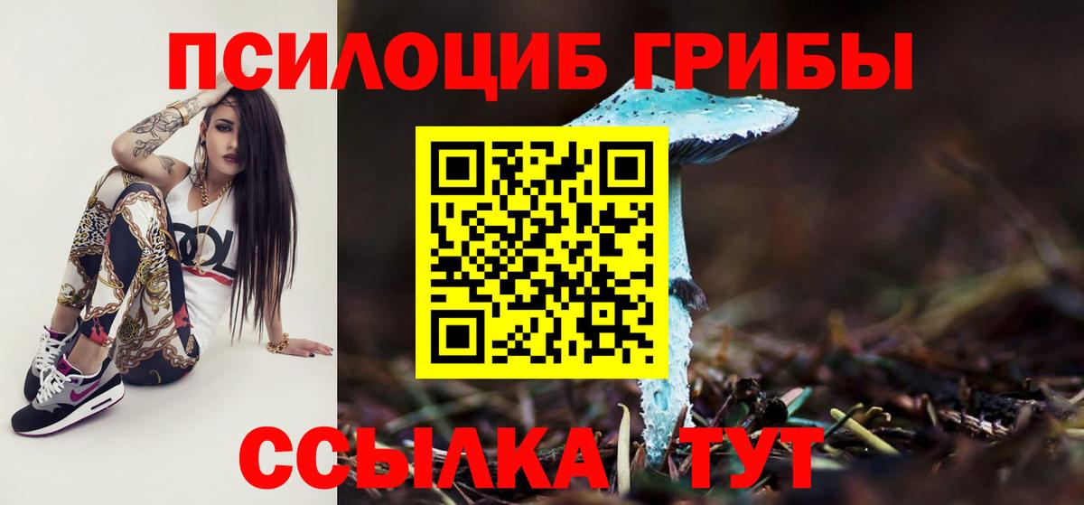 Галлюциногенные грибы Magic Shrooms Краснознаменск